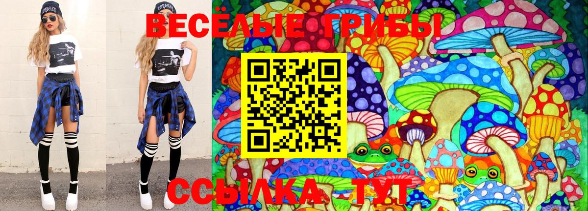 Серов  Псилоцибиновые грибы Magic Shrooms  Вход с VPN 