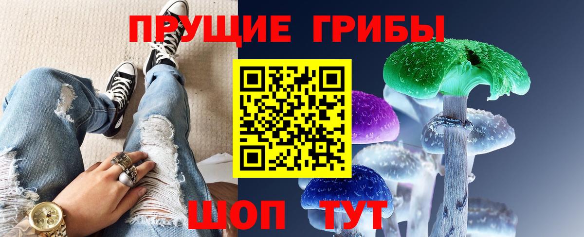 Псилоцибиновые грибы Cubensis Серов