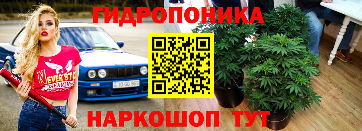 МАРИХУАНА индика Серов