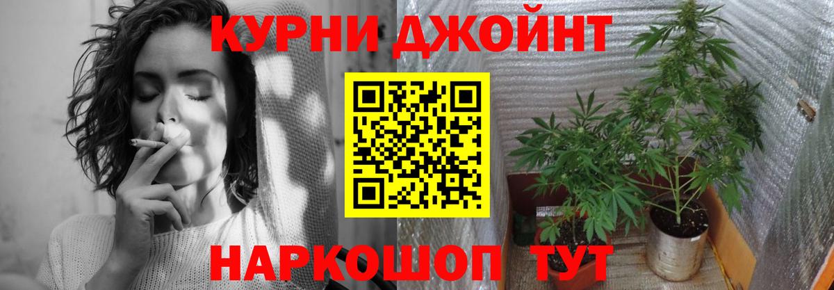 Бошки Шишки LSD WEED  Марихуана планчик  Серов  МАРИХУАНА планчик  Канабис THC 21%  Вход с VPN 